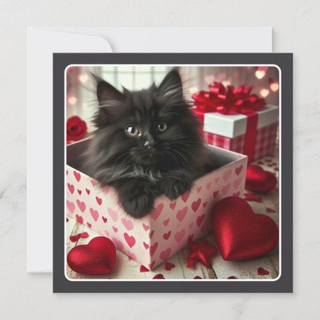 Adorable Black Kitten in Box Funny Valentine  Holiday Card (Front)