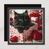 Adorable Black Kitten in Box Funny Valentine  Holiday Card (Front/Back)
