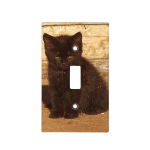 Adorable Black Kitten Light Switch Cover