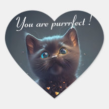 Adorable Black Kitten: You are purrrfect!