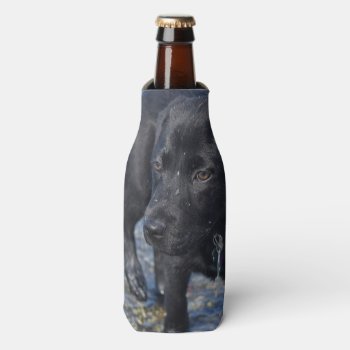 Adorable Black Lab Puppy Dog Bottle Cooler by DogPoundGifts at Zazzle
