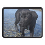 Adorable Black Lab Puppy Dog Hitch Cover