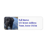 Adorable Black Lab Puppy Dog Label