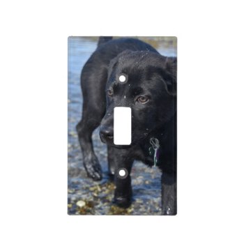 Adorable Black Lab Puppy Dog Light Switch Cover by DogPoundGifts at Zazzle
