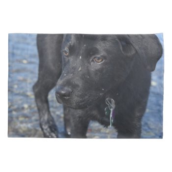 Adorable Black Lab Puppy Dog Pillow Case by DogPoundGifts at Zazzle