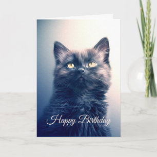 Adorable Black Long Hair Kitten Card