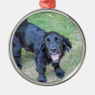 Adorable Black Puppy Metal Ornament