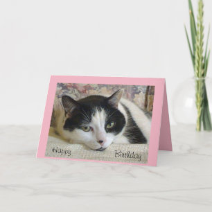 Adorable Black/White Cat Birthday Card