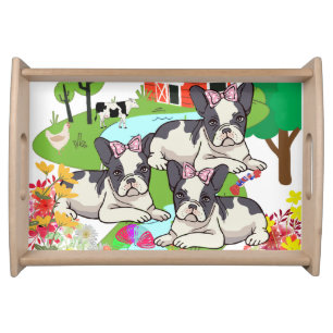 Adorable Black & White Pitbull Puppies On Farm Serving Tray