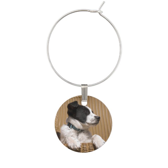 Adorable Black White Sleeping Border Collie Puppy Wine Glass Charm (Front)