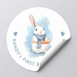Adorable Blue Bunny Birthday Easter Watercolor Classic Round Sticker