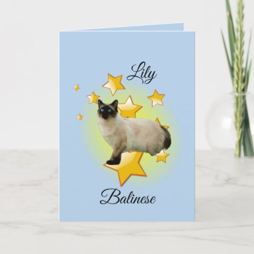 Adorable Blue Eyed Balinese Cat on Blue is a Star Card