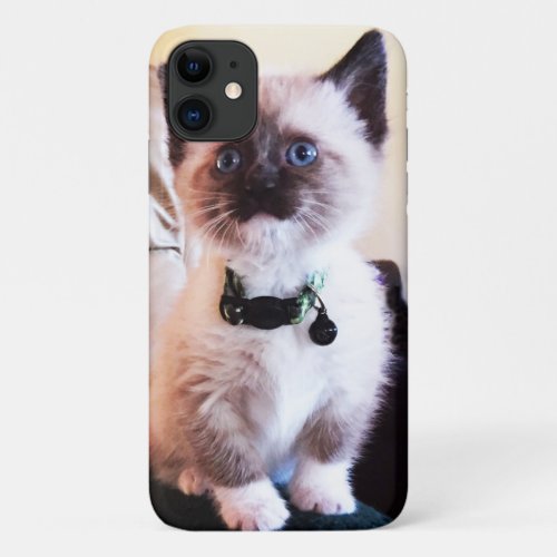 Adorable Blue Eyed Masked Kitten Photograph iPhone 11 Case