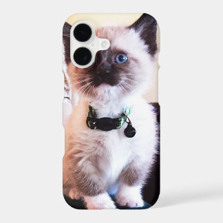 Adorable Blue Eyed Masked Kitten Photograph iPhone 17 Case