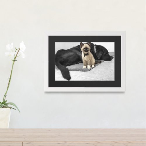 Adorable Blue Eyed Sentry Cat Framed Art