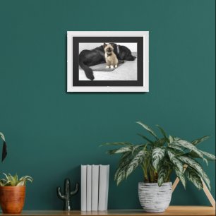 Adorable Blue Eyed Sentry Cat Framed Art