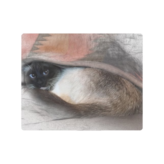 Adorable Blue Eyed Siamese Kitten Peeking Out Metal Print (Front)