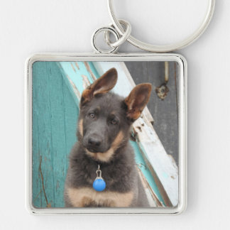 Adorable Blue German Shepherd Puppy Keychain
