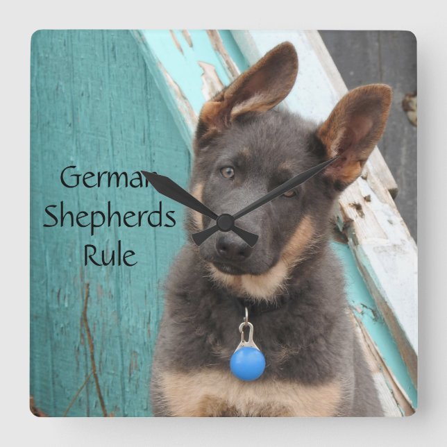 Adorable Blue German Shepherd Puppy Square Wall Clock (Front)