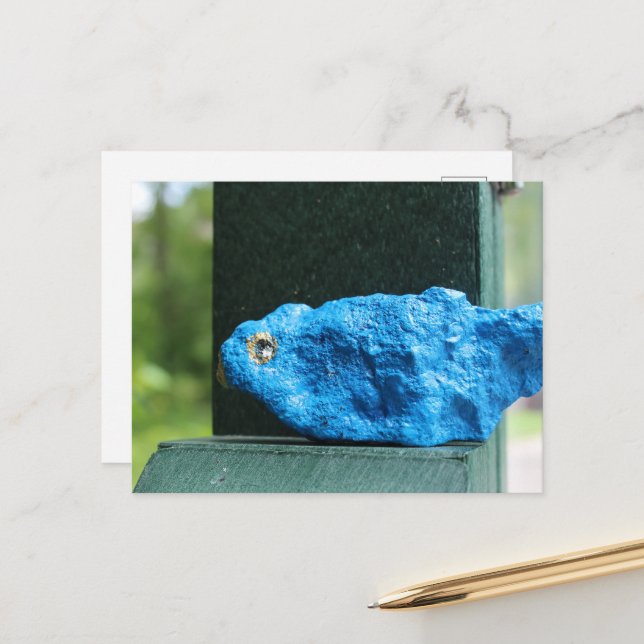 Adorable Bluebird Rock Postcard (Front/Back In Situ)