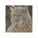 Adorable Bobcat Wood Wall Decor