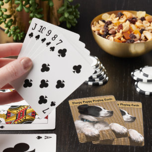 Adorable Border Collie Heeler Sleepy Puppy Poker Cards