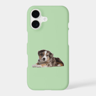 Adorable Border Collie Puppy – Playful and Cute Pu iPhone 17 Case