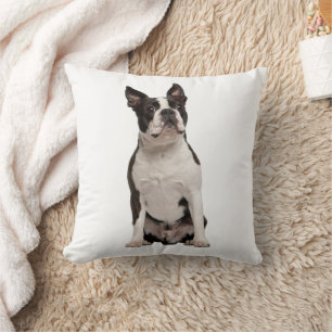 Adorable Boston Terrier Black White Puppy Dog Throw Pillow
