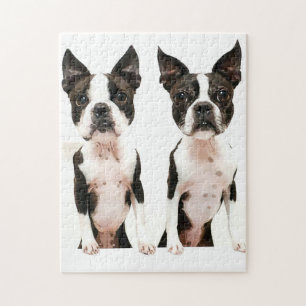 Adorable Boston Terrier Cartoon Dog Jigsaw Puzzle