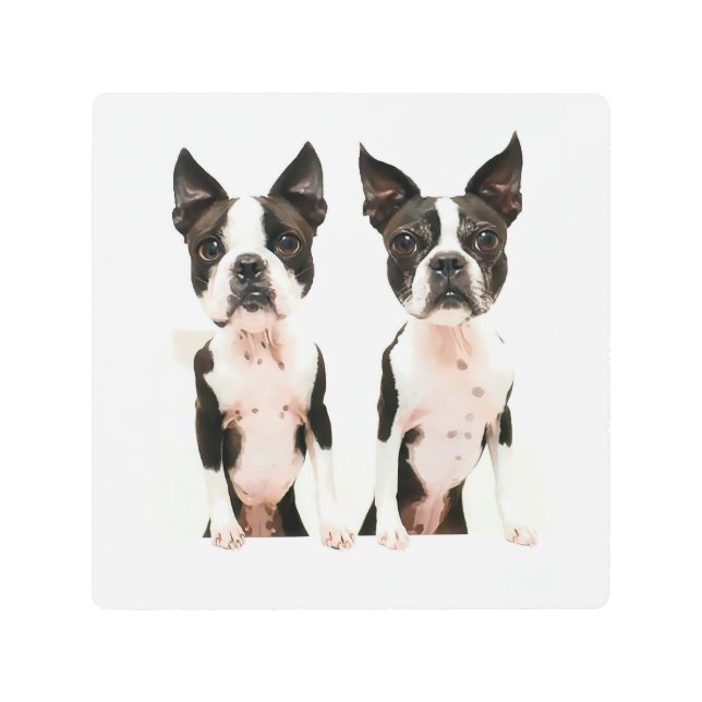 Adorable Boston Terrier Dog Custom Pop Art (Front)