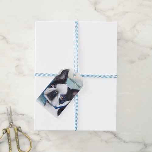 ADORABLE BOSTON TERRIER GIFT TAGS