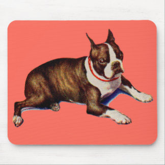 adorable Boston terrier Mouse Pad