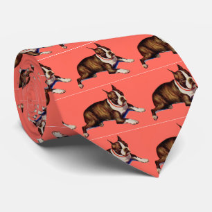 adorable Boston terrier Tie
