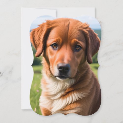 Adorable Brown Dog in the Mountains Card