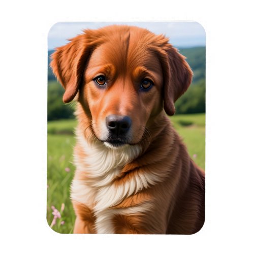 Adorable Brown Dog in the Mountains Photo Magnet