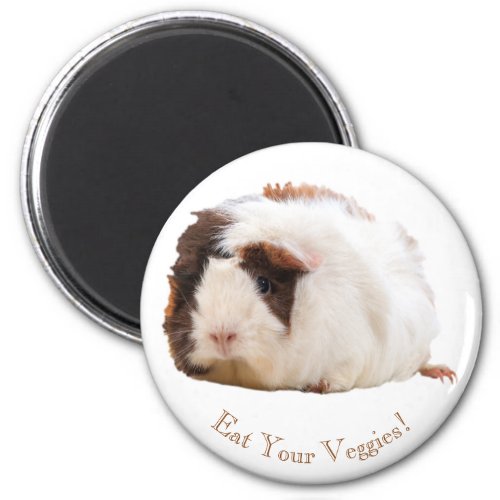 Adorable Brown White Guinea Pig Custom Message Magnet