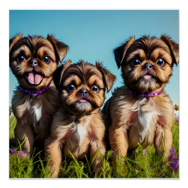 Adorable Brussels Griffon Puppies Poster (Front)
