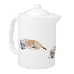 Adorable Bull Terrier Puppy, Teapot