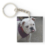 Adorable Bulldog Keychain