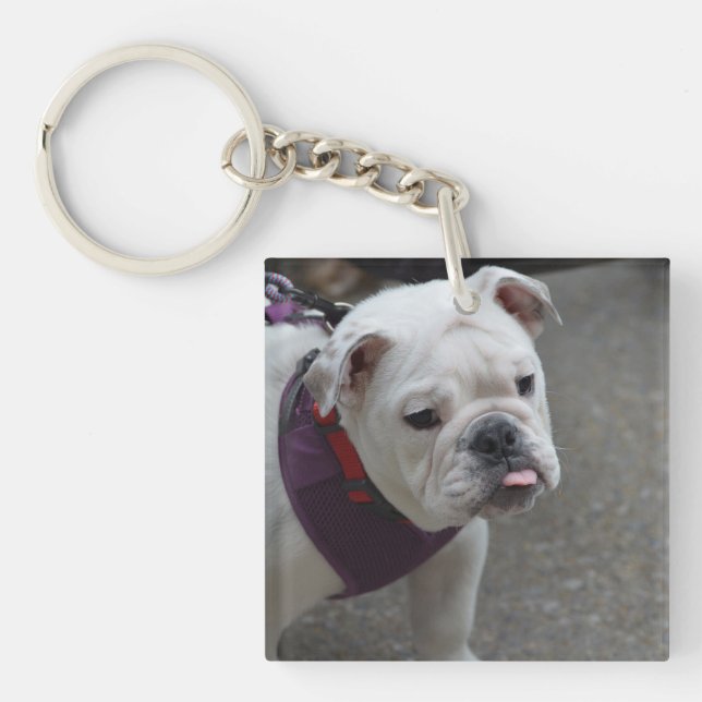 Adorable Bulldog Keychain (Front)