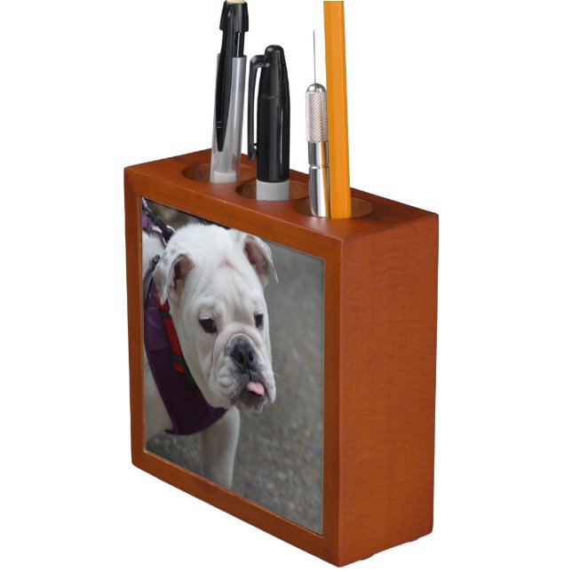Adorable Bulldog Pencil Holder (In Situ)