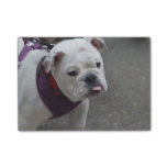 Adorable Bulldog Post-it Notes