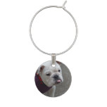 Adorable Bulldog Wine Glass Charm