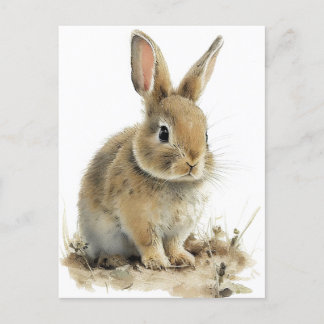 Adorable bunny postcard in watercolors