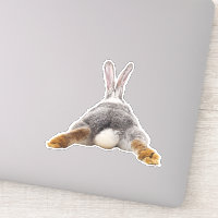 Adorable Bunny Rabbit Butt Tail