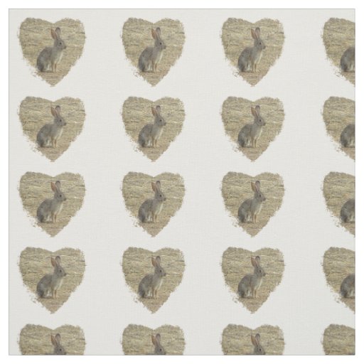 Adorable Bunny Sitting Inside Large Heart Animal Fabric