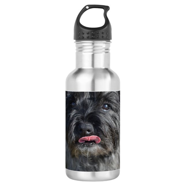Adorable Cairn Terrier Stainless Steel Water Bottle (Front)