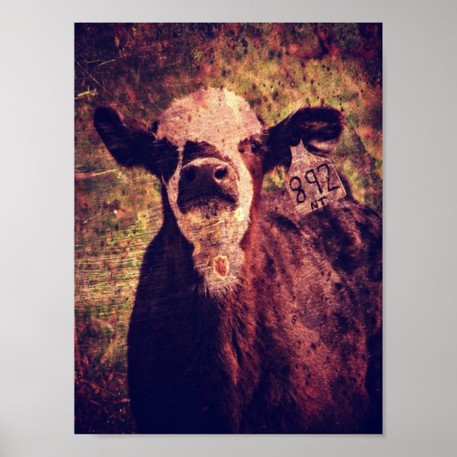 Adorable Calf Grunge Poster (Front)