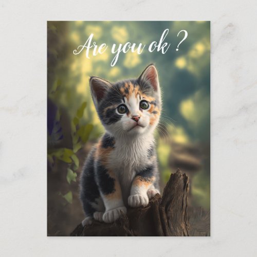 Adorable Calico Kitten Is Concerned Postcard