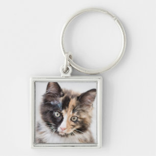 Adorable Calico Kitten Keychain